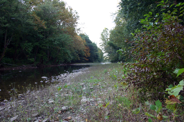 Loyalhanna Creek from Mission Road Bridge
