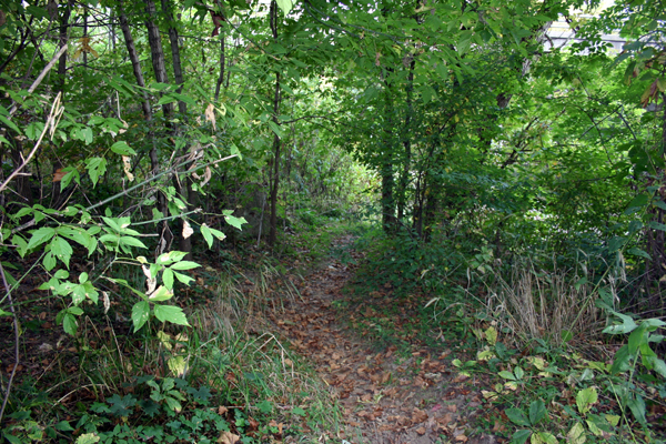 Footpath Along Loyalhanna Creek Near Mission Road