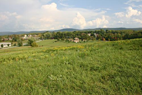 East of Site from Kennametal Hill #8