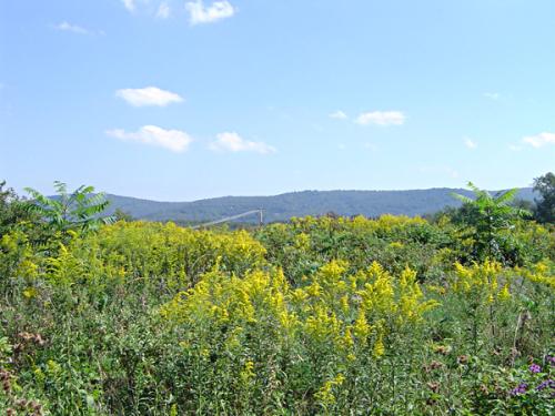 View from Behind Big Lots