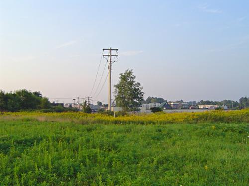 On Site Looking Toward Unity Plaza